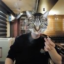 수원 리포르마 시가바 방문후기
