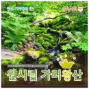 씨유궁동전원점 | [등산] 가리왕산 최단 코스 - 발심사~마항치 원점회귀