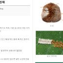 현대그린존방역 울산본사