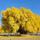 문막(인천)휴게소 편의점 | 문막휴게소 인천방향 식당 솔직 후기 입니다.