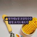 명안농장 네이버블로그