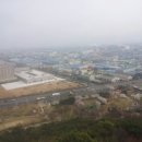 옥구공원 벚꽃(20140409) 이미지