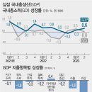 0%대 성장하는 韓경제...상반기 성장률 0.9% 구조개혁 없인 '저성장 늪' 이미지