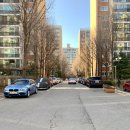 개포골드공인중개사사무소 이미지