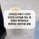 멍했냥 평택본점 이미지