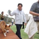 마사랑동물병원 이미지