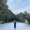 연학목장 | 협재해수욕장 근처 &#39;강식당&#39;,&#39;리치망고 협재점&#39; | 성이시돌 목장 | 산방산이 보이는 &#39;송악산 둘레길&#39; )