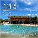 띠빗 | 제주 스타빌 수영장 후기! 네이처풀·온천·조식·석식 내돈내산 솔직 리뷰