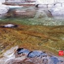 천왕봉산장앞 이미지