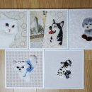 펫 목욕하는날 이미지