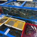 세븐일레븐동해중앙점 | 해돋이 강원도 2박 3일 여행 - 정동진,강릉,동해 맛집/카페 추천