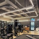 보스짐2 이미지