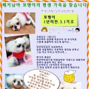 꼬맹이 이미지