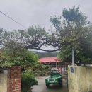 우림장민박 이미지