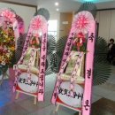 유화관광주