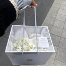[부케 말리기 선물] 마가렛 테이블 캔들홀더