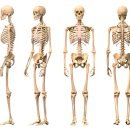 움직임 PT Studio 이미지