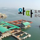 와따낚시