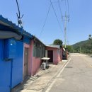 초포중화요리