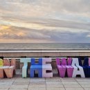 온더웨이브호텔(ON THE WAVE HOTEL) 이미지