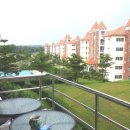 해피시티 이미지