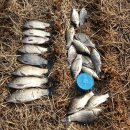 한국관 성인 나이트 이미지