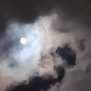 달가네