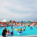 블루25 워터파크 (삼락야외수영장) 이미지