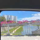 세븐일레븐 전북특별자치도 익산시청점 | 여행기록#12 [전북/무주] 25년 7월 무주, 무주 여행, 여름 무주 여행 코스 추천(진강원/윌로우파크커피...