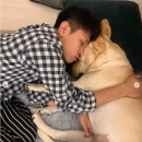 크러쉬 이미지