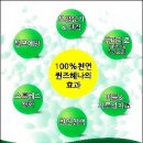 퀸즈헤나 염색 이미지