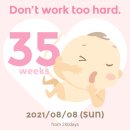 35~36주 임신일기 (아기가 너무 커서 걱정인 임신후기 일상, 증상, 손가락통증, 다리부종, 36주 태아 검진)