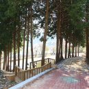 마암초등학교 이미지