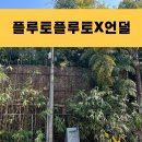 언덜 이미지