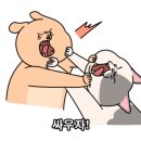 퍼피랜드 애견카페 이미지