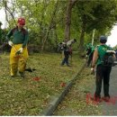 효돈동 주민센터 이미지