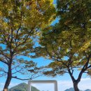 새롬동 에스월드빌딩 이미지