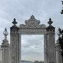 리얼터키 | 터키여행 🇹🇷 마이리얼트립 이스탄불 일일투어 : 엘베다 가이드 후기