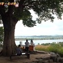 강경-11 이미지