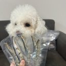 몽몽까까 이미지