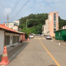티미하우스 이미지