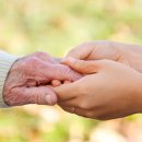 자이 자동차세상 이미지