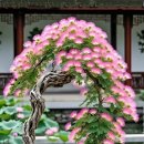 꽃보다아름다운당신 이미지