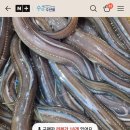 주원산오리 대림유통