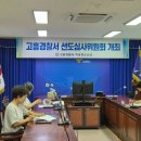 선도