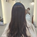 살롱소피아 이미지