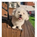 아이조아요양보호소 전남광주점 이미지