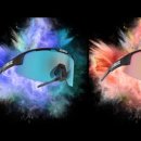 안목안경원 이미지