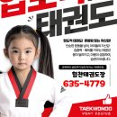 바람소리 해솔 태권도 이미지
