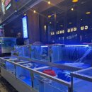 아부지 | 강서구 가성비 횟집 | 아부지가어부 내돈내산 후기🐟 | 화곡 회식장소 추천